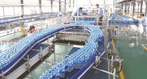 喜報！大豐榮登第二批國家全域旅游示范區名單，擘畫文旅發展新藍圖